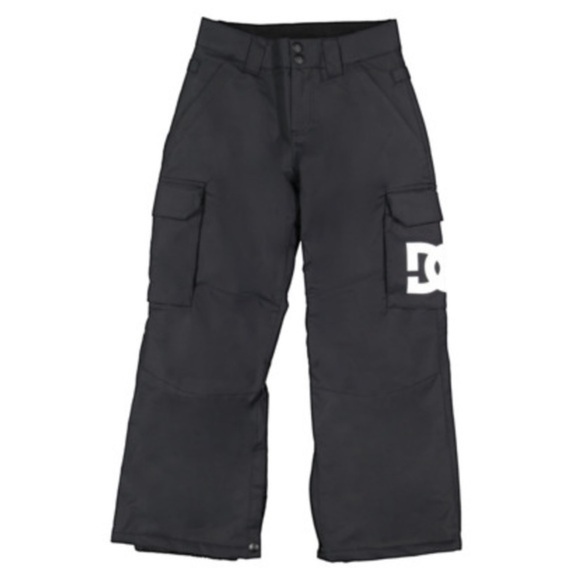 ✨ DC Boys Banshee Snowboard Pants Size Small​ - Picture 1 of 6